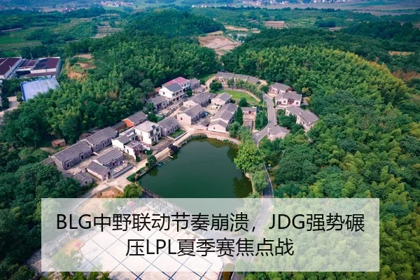 BLG中野联动节奏崩溃，JDG强势碾压LPL夏季赛焦点战