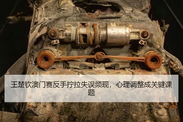wang-chu-qin-ao-men-sai-fan-shou-ning-la-shi-wu-pin-xian-xin-li-tiao-zheng-cheng-guan-jian-ke-ti-3-721.jpg