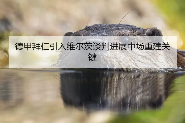 de-jia-bai-ren-yin-ru-wei-er-ci-tan-pan-jin-zhan-zhong-chang-chong-jian-guan-jian-3-104.jpg