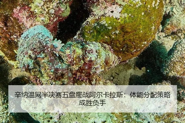 xin-na-wen-wang-ban-jue-sai-wu-pan-ao-zhan-a-er-ka-la-si-ti-neng-fen-pei-ce-lve-cheng-sheng-fu-shou-3-905.jpg