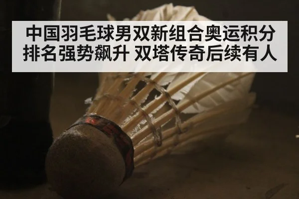 中国羽毛球男双新组合奥运积分排名强势飙升 双塔传奇后续有人